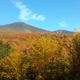 Illustration for article titled 48 Photos Of Autumn Around The World